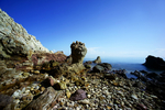 1500-DSC03157