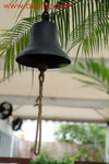 DSCF6920