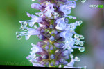 DSCF4712