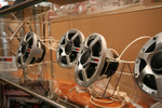 IMG 9184