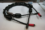IMG 8995