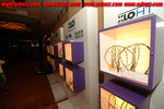 DSCF8029