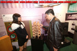 DSCF8397