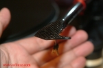 DSCF0712