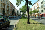 DSCF1413