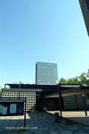 DSCF1439