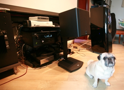 IMG_7974_resize.jpg