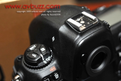 BUZ_4167.jpg