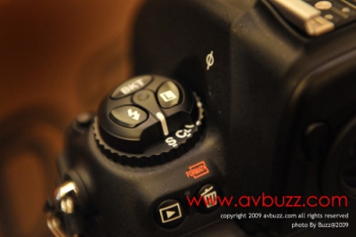 BUZ_4178.jpg