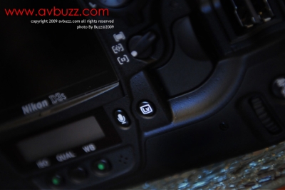 BUZ_4197a.jpg