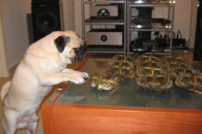 crab2.jpg