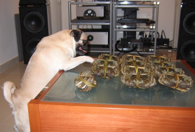 crab3.jpg