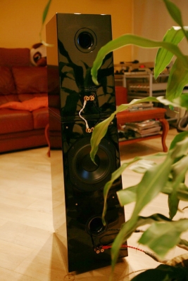 IMG_0982_resize.jpg