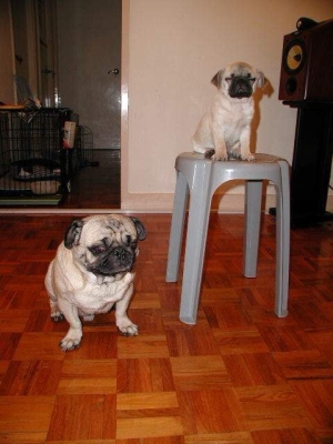 untitled.jpg