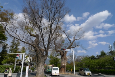 L1020142.jpg