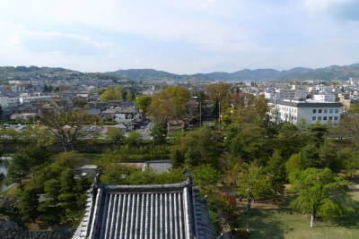 L1020158.jpg