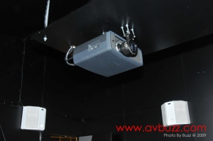 BUZ 3907