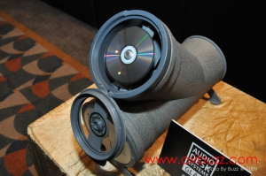 BUZ 4018