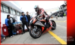 Motor Cyclist (11)