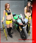 Macau Grand Prix (1)