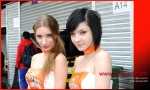 Macau Grand Prix (19)