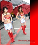 Macau Grand Prix (23)