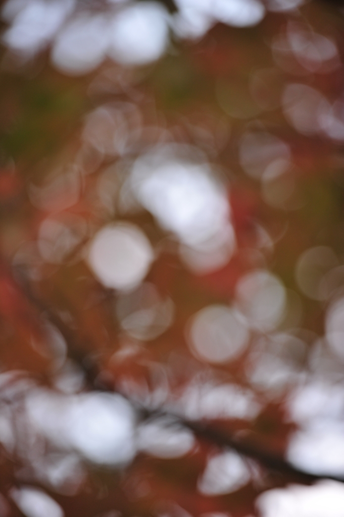 DSC_2472.JPG