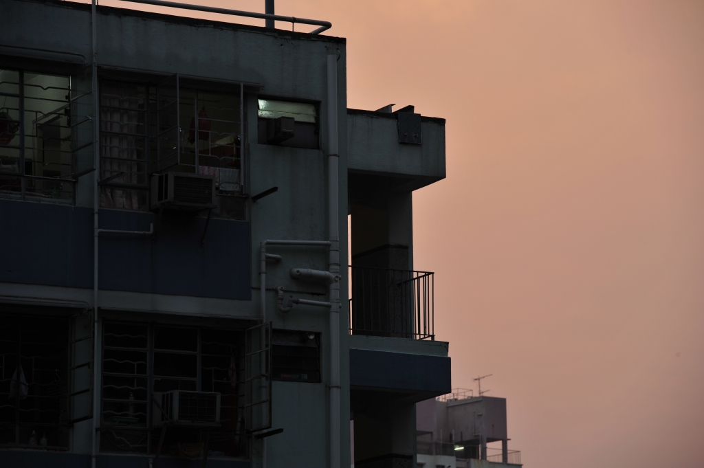 DSC_2481.JPG