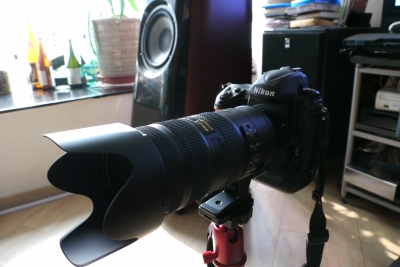 P1050691.JPG