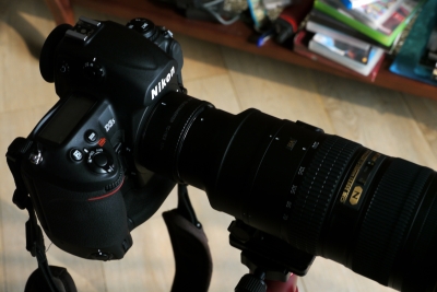 P1050712.JPG