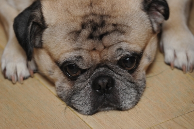 DSC_2941.JPG