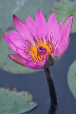 DSC_3036_調整大小.jpg