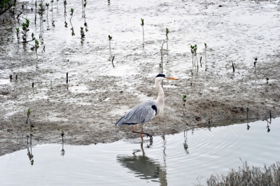 DSC_3070_調整大小.jpg