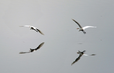 DSC_3079_調整大小.jpg