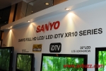 DSC 8034