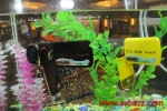 DSC 7539