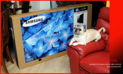 SAMSUNG%20UN55C7000%20(14).jpg