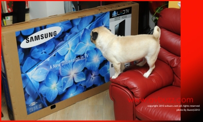 SAMSUNG-UN55C7000-(99).jpg