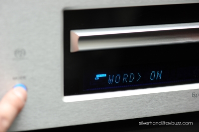 DSC_9308.jpg