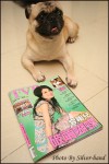 CANDY23