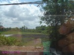 DSC09367