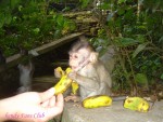 DSC09521