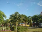 DSC09522