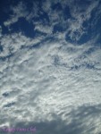 DSC09524
