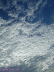 DSC09525