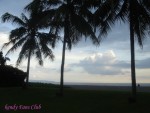 DSC09700