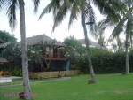 DSC09709