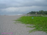 DSC09711