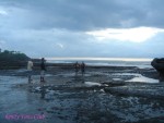 DSC09731