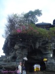 DSC09736